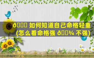 🐛 如何知道自己命格轻重(怎么看命格强 🌾 不强)